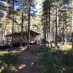 Community Woodland informal drop-in to discuss the 10 year plan