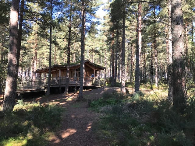 Community Woodland informal drop-in to discuss the 10 year plan