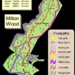 Strathnairn Community Woodlands Workday- Saturday 15th February