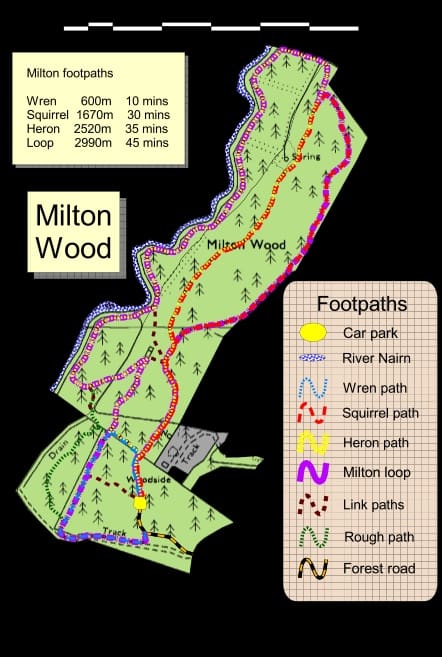 Strathnairn Community Woodlands Workday- Saturday 15th February