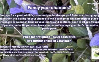 Fancy your Chances – Photography Competition