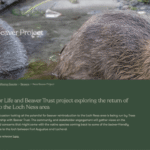 Ness Beaver Project Update