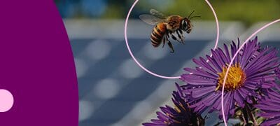 Nadara Wind Farm Student Support Scheme