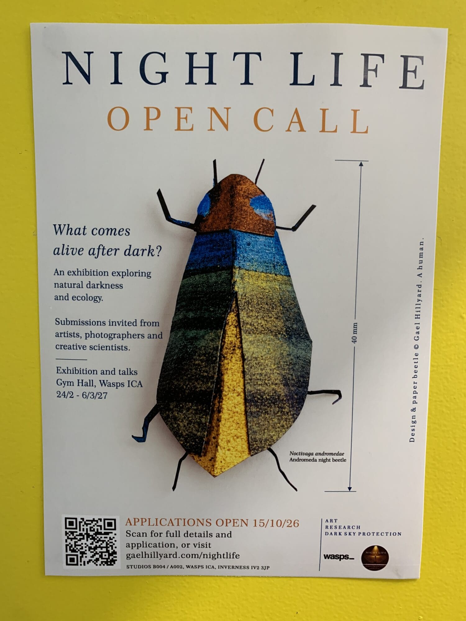 NIGHT LIFE: What comes alive after dark? Open call for submission